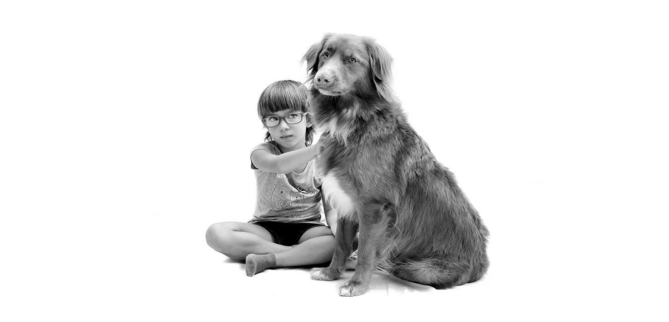 PET-THERAPY