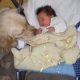 Pillole di conoscenza neonato-cane: cosa fare dopo il parto