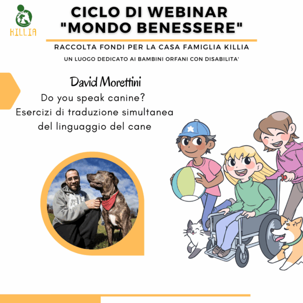 "Do you speak canine?" David Morettini - in differita
