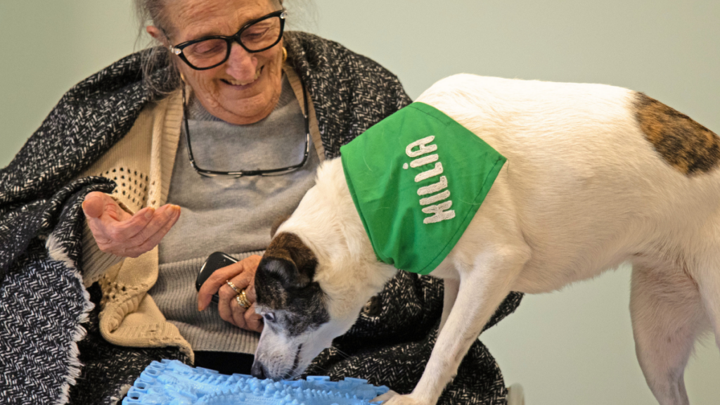 anziana durante attività di pet therapy con cane co-terapeuta a Quartu Sant’Elena Killia Pet Therapy
