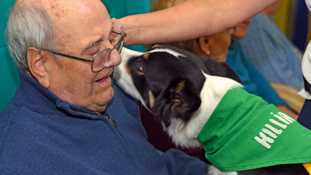 anziano durante attività di pet therapy con cane co-terapeuta progetto Killia in struttura per anziani