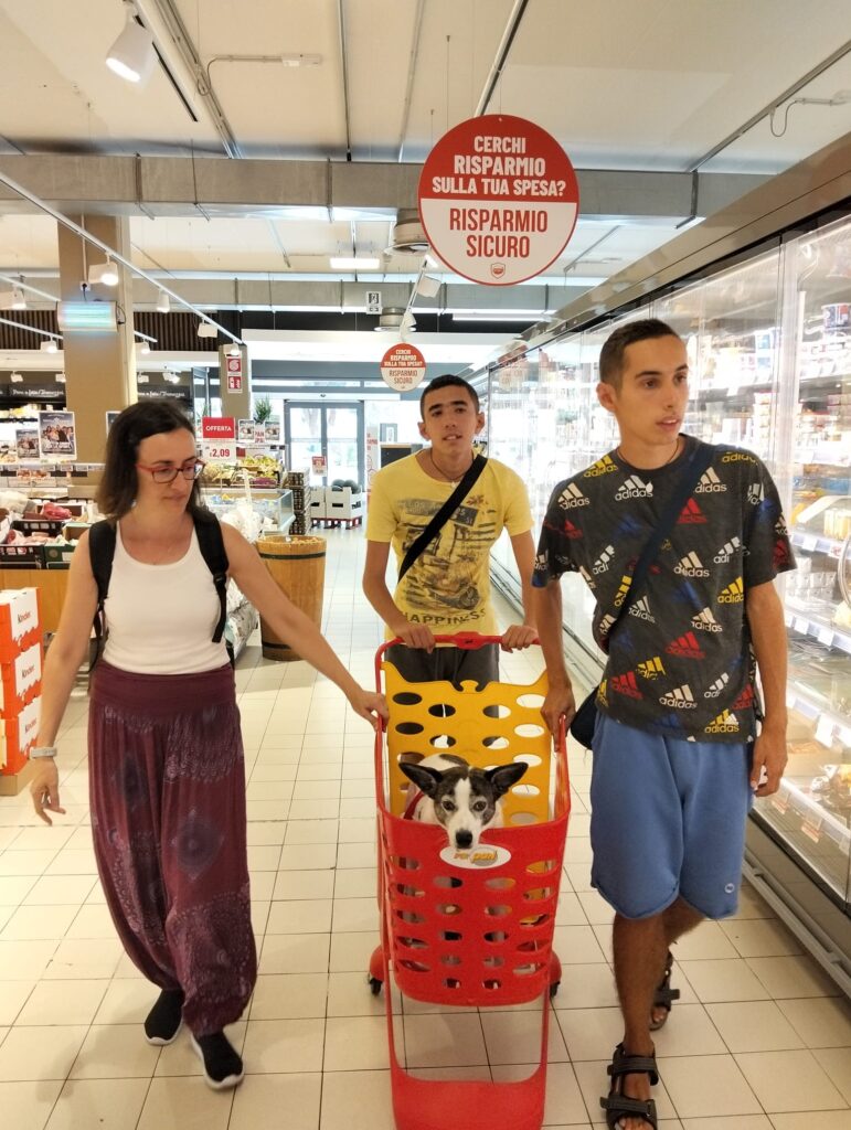 Centro Diurno Killia per adulti con disabilità a Selargius Attività educative nel Centro Diurno Killia Spazi accessibili del Centro Diurno Killia Interventi Assistiti con Animali nel Centro Diurno Killia