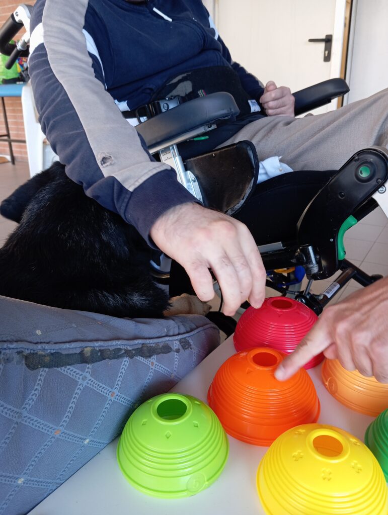 Centro Diurno Killia per adulti con disabilità a Selargius Attività educative nel Centro Diurno Killia Spazi accessibili del Centro Diurno Killia Interventi Assistiti con Animali nel Centro Diurno Killia