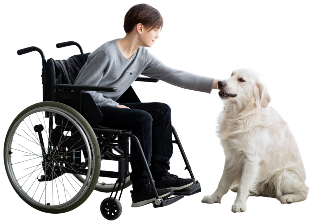 Centro Diurno Killia per adulti con disabilità a Selargius Attività educative nel Centro Diurno Killia Spazi accessibili del Centro Diurno Killia Interventi Assistiti con Animali nel Centro Diurno Killia