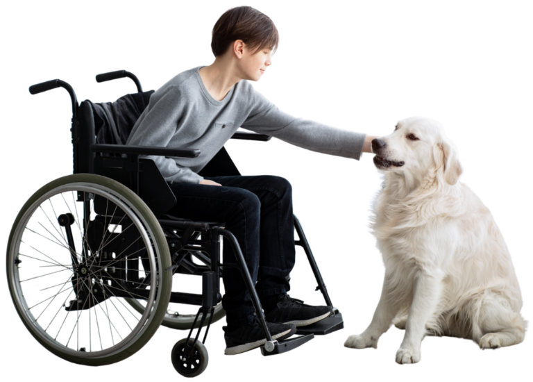 Centro Diurno Killia per adulti con disabilità a Selargius Attività educative nel Centro Diurno Killia Spazi accessibili del Centro Diurno Killia Interventi Assistiti con Animali nel Centro Diurno Killia
